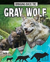 Gray Wolf