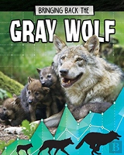 Bertrand.pt - Gray Wolf
