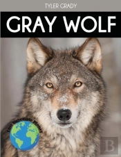 Gray Wolf