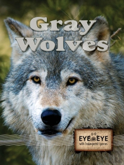 Bertrand.pt - Gray Wolves