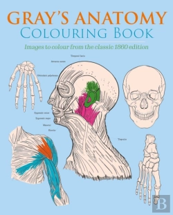 Bertrand.pt - Gray'S Anatomy Colouring Book