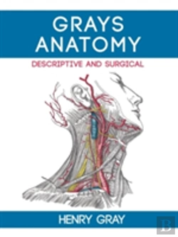 Bertrand.pt - Gray'S Anatomy Descriptive And Surgical