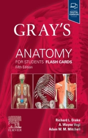 Gray'S Anatomy For Students Flash Cards