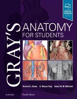 Bertrand.pt - Gray'S Anatomy For Students