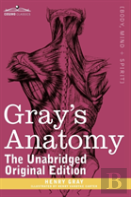 Gray'S Anatomy