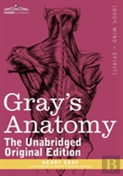 Gray'S Anatomy