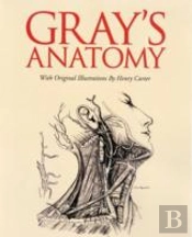 Gray'S Anatomy