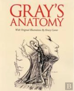 Bertrand.pt - Gray'S Anatomy