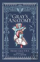 Gray'S Anatomy
