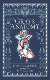 Gray'S Anatomy