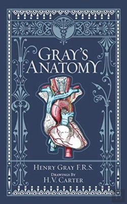 Bertrand.pt - Gray'S Anatomy