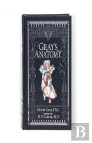 Gray'S Anatomy