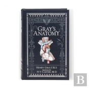 Gray'S Anatomy
