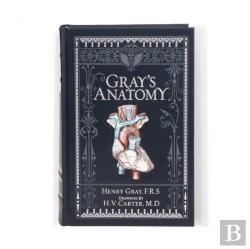 Bertrand.pt - Gray'S Anatomy