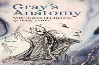 Gray'S Anatomy