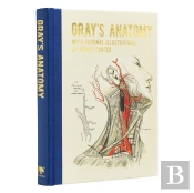 Gray'S Anatomy