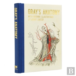 Bertrand.pt - Gray'S Anatomy