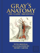 Gray'S Anatomy