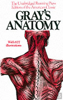 Bertrand.pt - Gray'S Anatomy