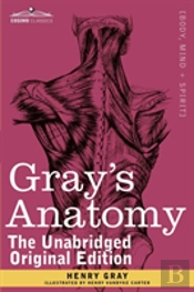 Gray'S Anatomy