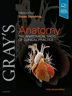 Bertrand.pt - Gray'S Anatomy