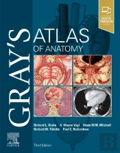 Gray'S Atlas Of Anatomy