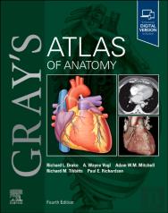 Gray'S Atlas Of Anatomy