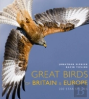 Great Birds Of Britain And Europe