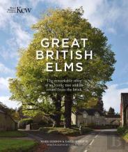 Great British Elms