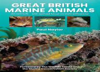 Great British Marine Animals