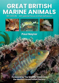 Bertrand.pt - Great British Marine Animals