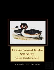 Great-Crested Grebe