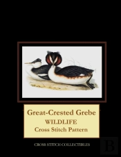Great-Crested Grebe