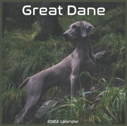 Bertrand.pt - Great Dane Calendar 2022