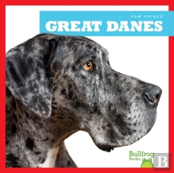 Bertrand.pt - Great Danes
