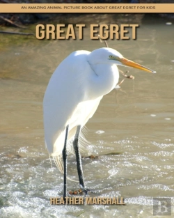 Bertrand.pt - Great Egret
