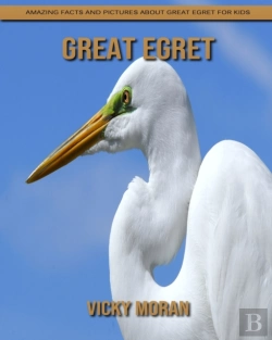 Bertrand.pt - Great Egret
