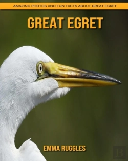 Bertrand.pt - Great Egret