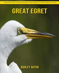 Bertrand.pt - Great Egret