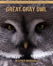 Great Gray Owl