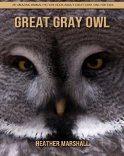 Great Gray Owl