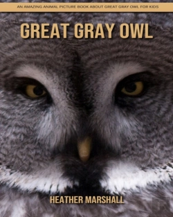 Bertrand.pt - Great Gray Owl