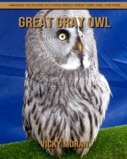 Bertrand.pt - Great Gray Owl