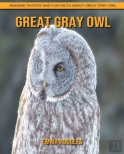 Bertrand.pt - Great Gray Owl