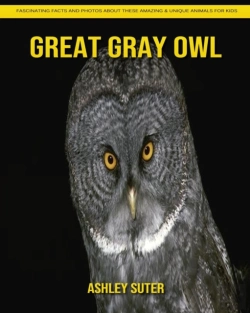 Bertrand.pt - Great Gray Owl