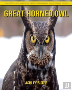 Bertrand.pt - Great Horned Owl