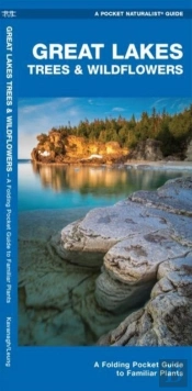 Great Lakes Trees & Wildflowers