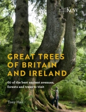 Great Trees Of Britain And Ireland