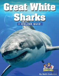 Bertrand.pt - Great White Shark Activity Book For Ages 4-8 Years Of Age