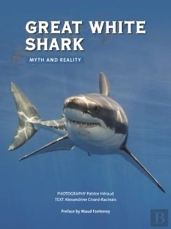 Bertrand.pt - Great White Shark